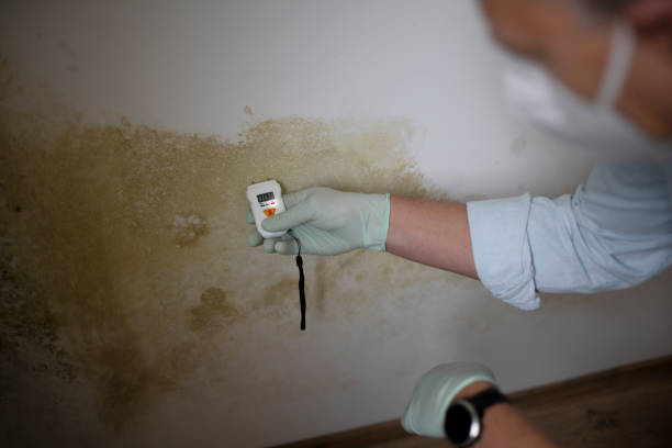 Best Emergency Mold Removal  in Norwalk, IA