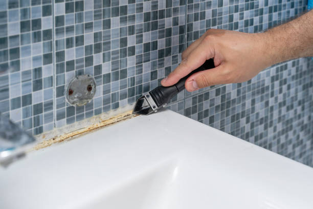 Best Local Mold Removal Service  in Norwalk, IA