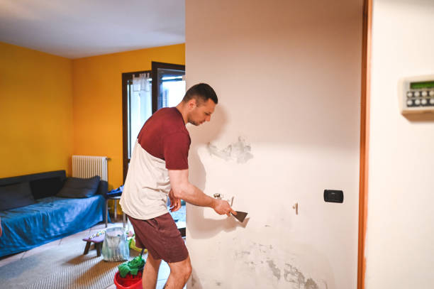 Best Same-Day Mold Removal  in Norwalk, IA